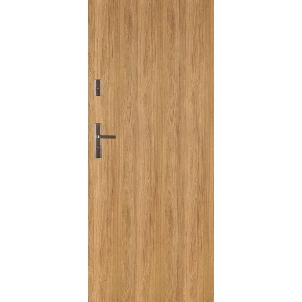 Drzwi Wejściowe Forca B 10, Drzwi antywłamaniowe, Drzwi antywłamaniowe, DRE