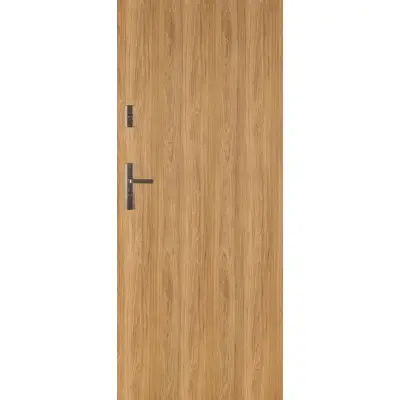 Drzwi Wejściowe Forca B 10