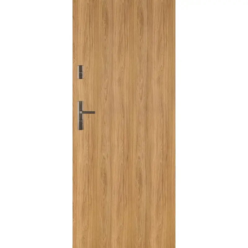 Drzwi Wejściowe Forca B 10