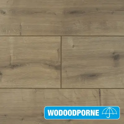 Panele Podłogowe Dąb Hudson 900436 AC5 8 mm