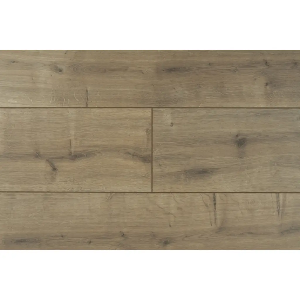 Panele Podłogowe Dąb Hudson 900436 AC5 8 mm, Panele podłogowe, By Belgium Water Protect AC5, Metamorphose