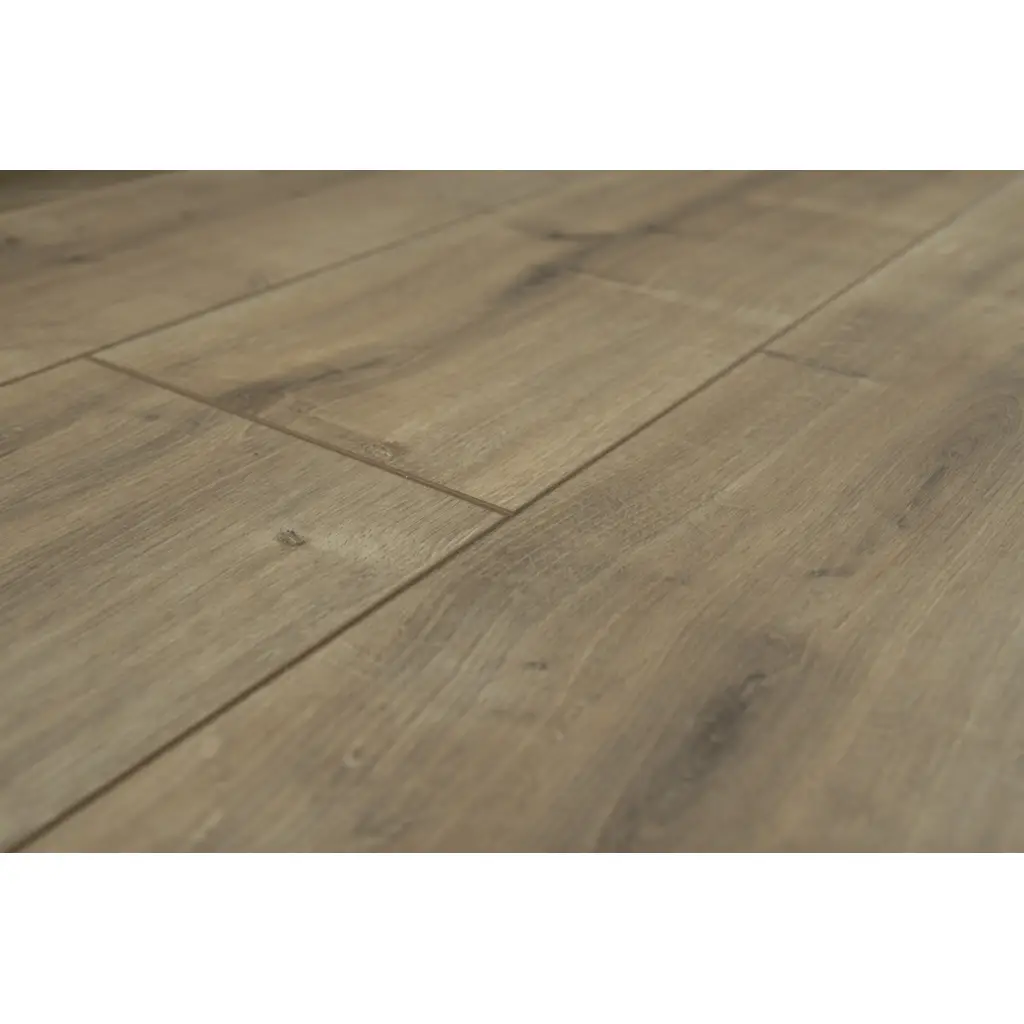 Panele Podłogowe Dąb Hudson 900436 AC5 8 mm, Panele podłogowe, By Belgium Water Protect AC5, Metamorphose