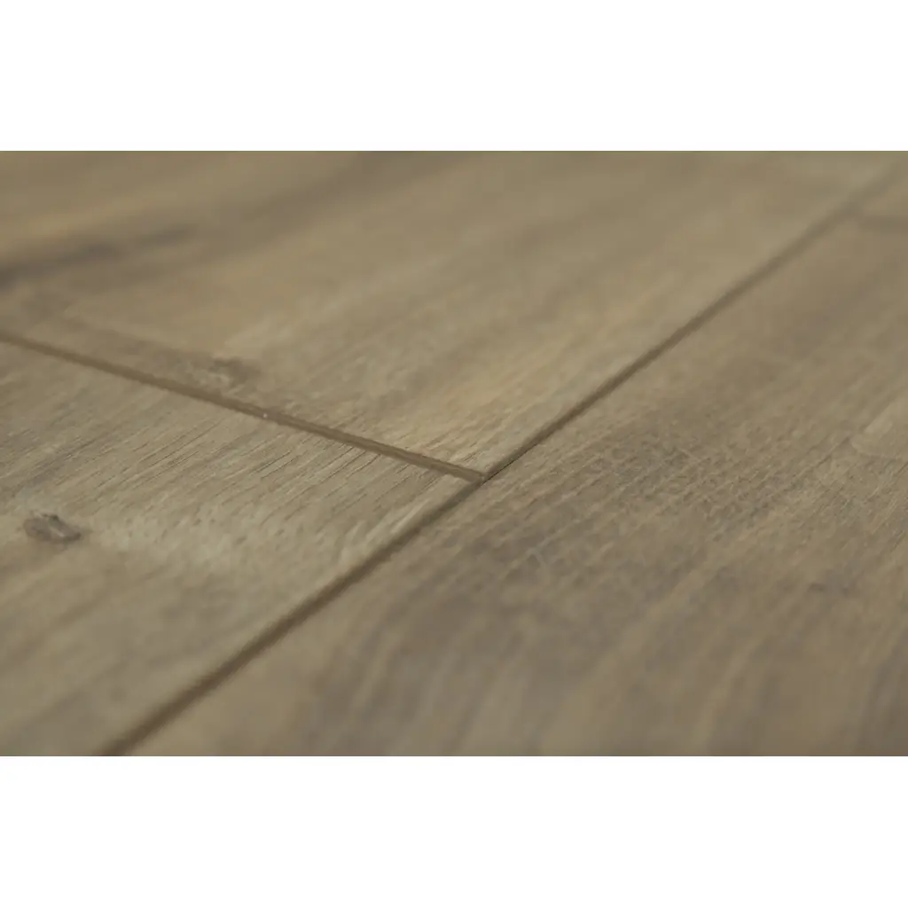 Panele Podłogowe Dąb Hudson 900436 AC5 8 mm, Panele podłogowe, By Belgium Water Protect AC5, Metamorphose