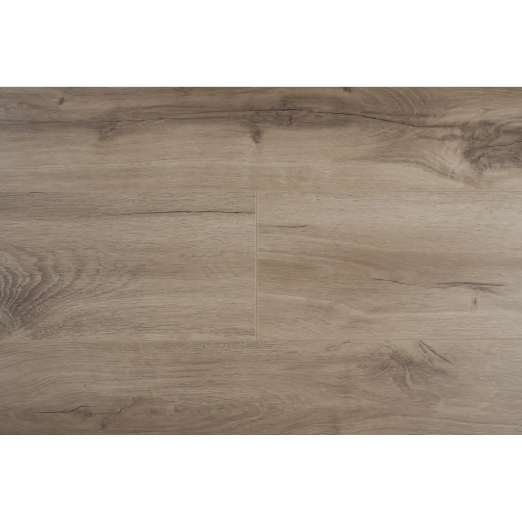 Panele Podłogowe Dąb Pecos 900591 AC5 8 mm, Panele podłogowe, By Belgium Water Protect AC5, Metamorphose