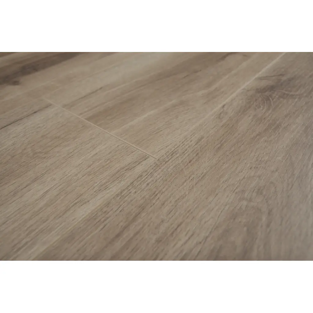 Panele Podłogowe Dąb Pecos 900591 AC5 8 mm, Panele podłogowe, By Belgium Water Protect AC5, Metamorphose