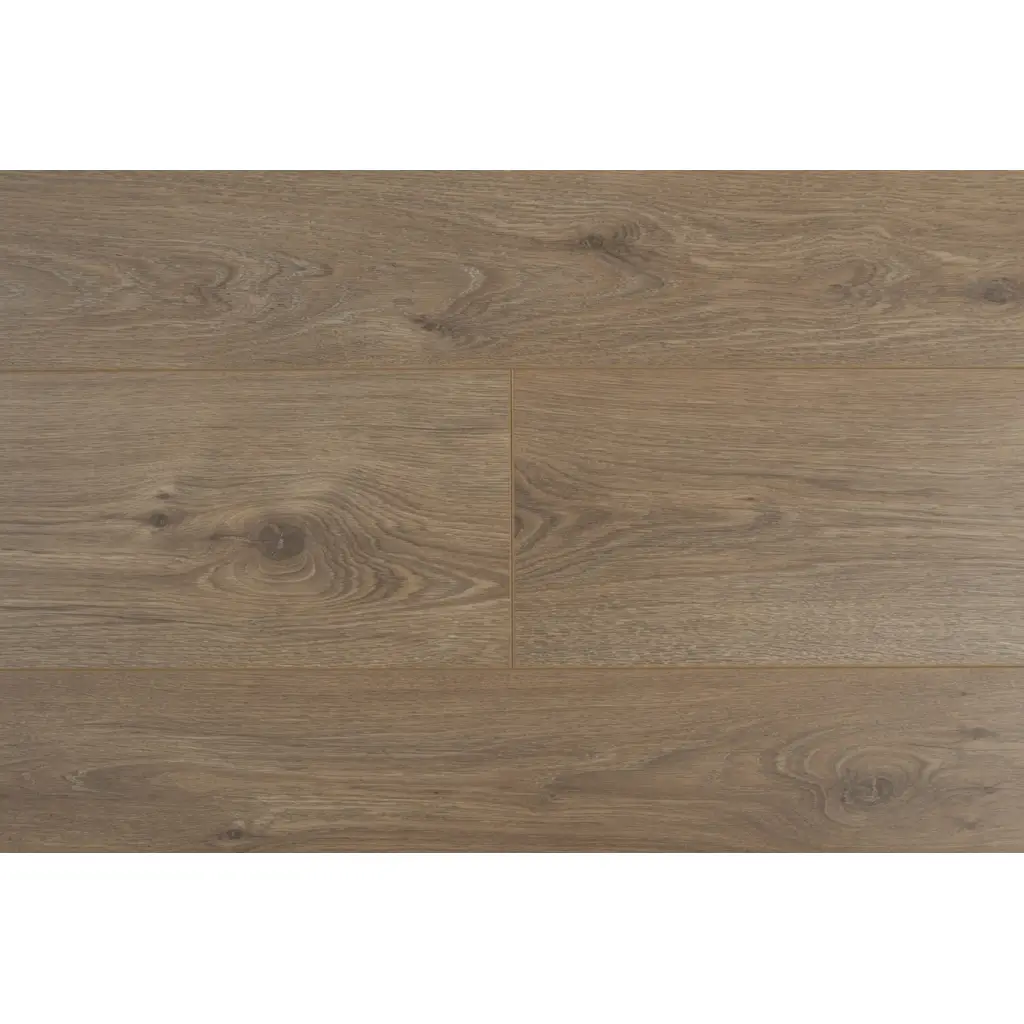 Panele Podłogowe Dąb Ohio 900622 AC5 8 mm, Panele podłogowe, By Belgium Water Protect AC5, Metamorphose