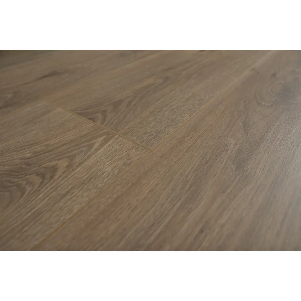 Panele Podłogowe Dąb Ohio 900622 AC5 8 mm, Panele podłogowe, By Belgium Water Protect AC5, Metamorphose