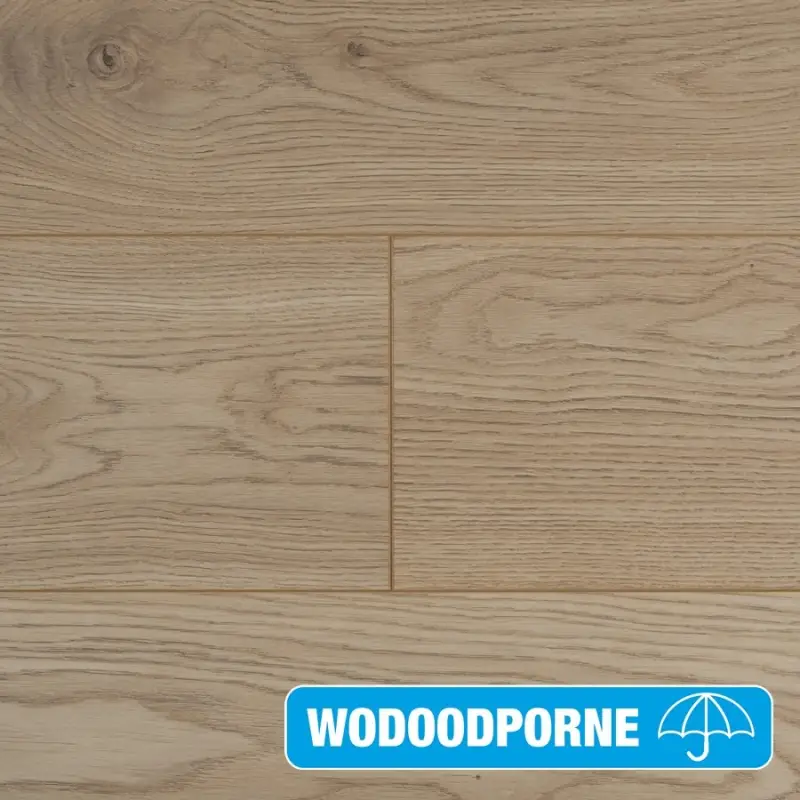 Panele Podłogowe Dąb Arkansas 900465 AC5 8 mm