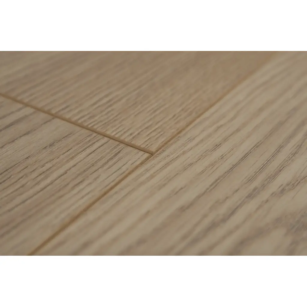 Panele Podłogowe Dąb Arkansas 900465 AC5 8 mm, Panele podłogowe, By Belgium Water Protect AC5, Metamorphose