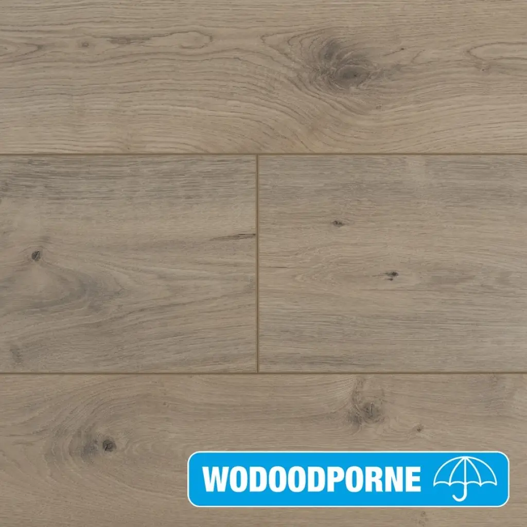 Panele Podłogowe Dąb Rio Grande 900593 AC5 8 mm, Panele podłogowe, By Belgium Water Protect AC5, Metamorphose