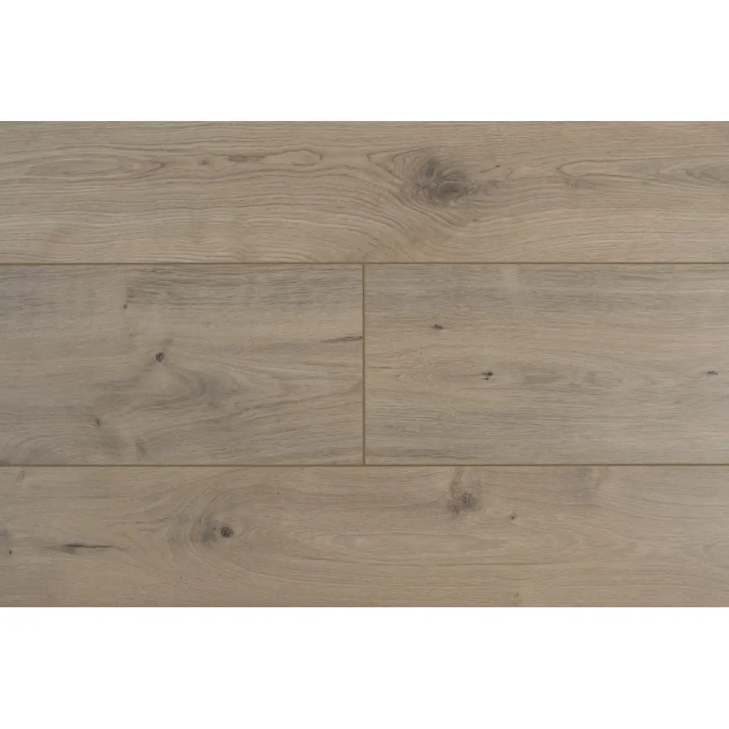 Panele Podłogowe Dąb Rio Grande 900593 AC5 8 mm, Panele podłogowe, By Belgium Water Protect AC5, Metamorphose