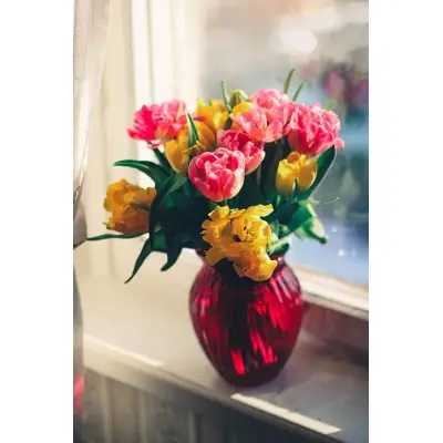 Drzwi Porta VECTOR Premium T Prawe 80cm bezprzylgowe, SPAPMT0P08UBI0AKU0H000